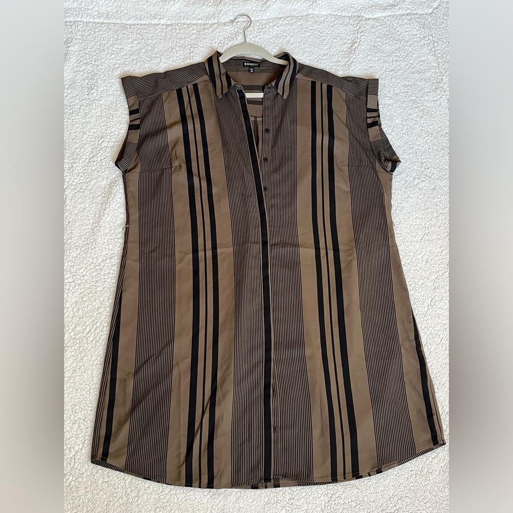 Express Black and Tan Striped Dress